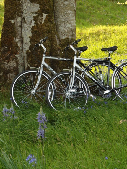 Bicycles & Buggies at Ballyfin Demesne